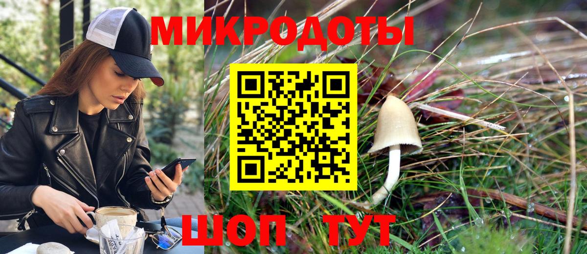 Псилоцибиновые грибы Psilocybine cubensis Братск