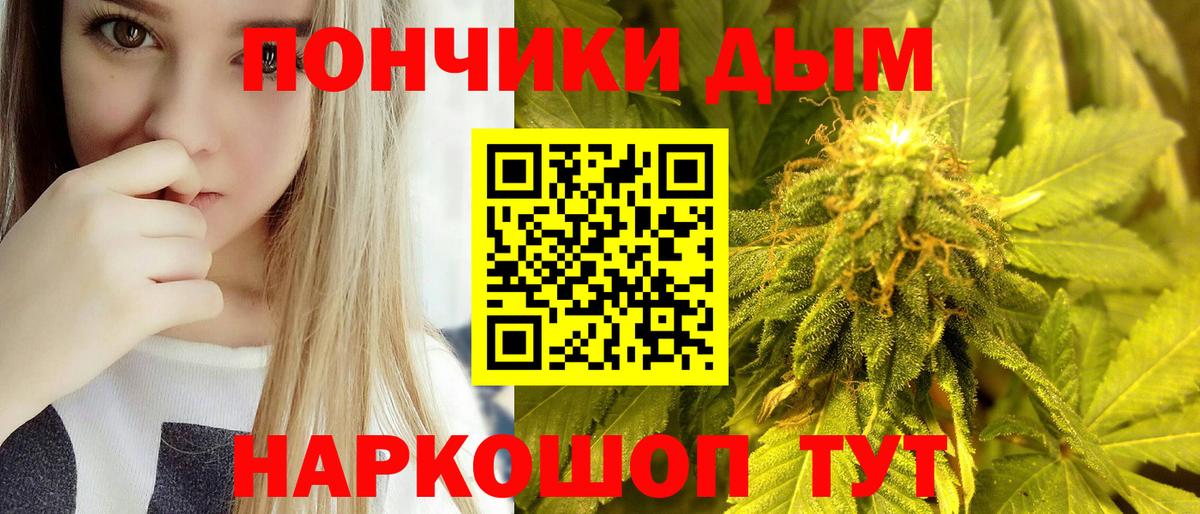 Бошки марихуана конопля Братск
